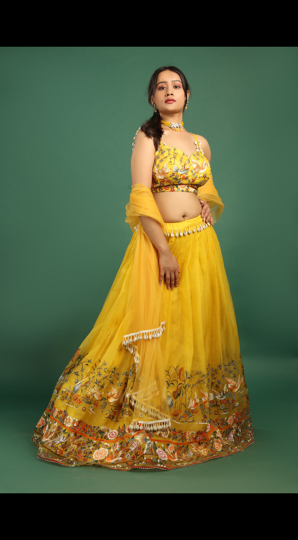 Hand Painted and Embroidered Pure Organza Lehenga Set