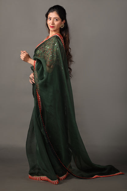 Moss Green Pure Silk Orzanga Saree with Hand Embroidery &  Hand embroided  Raw Silk Blouse