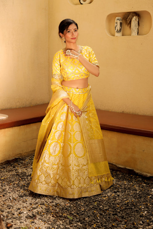 Turmeric Yellow Benarsi Organza Lehenga Set with Hand Embroidery