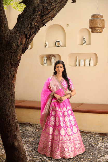 Woven and Hand-Embroidered Banarasi Organza Lehenga in Gulal Pink