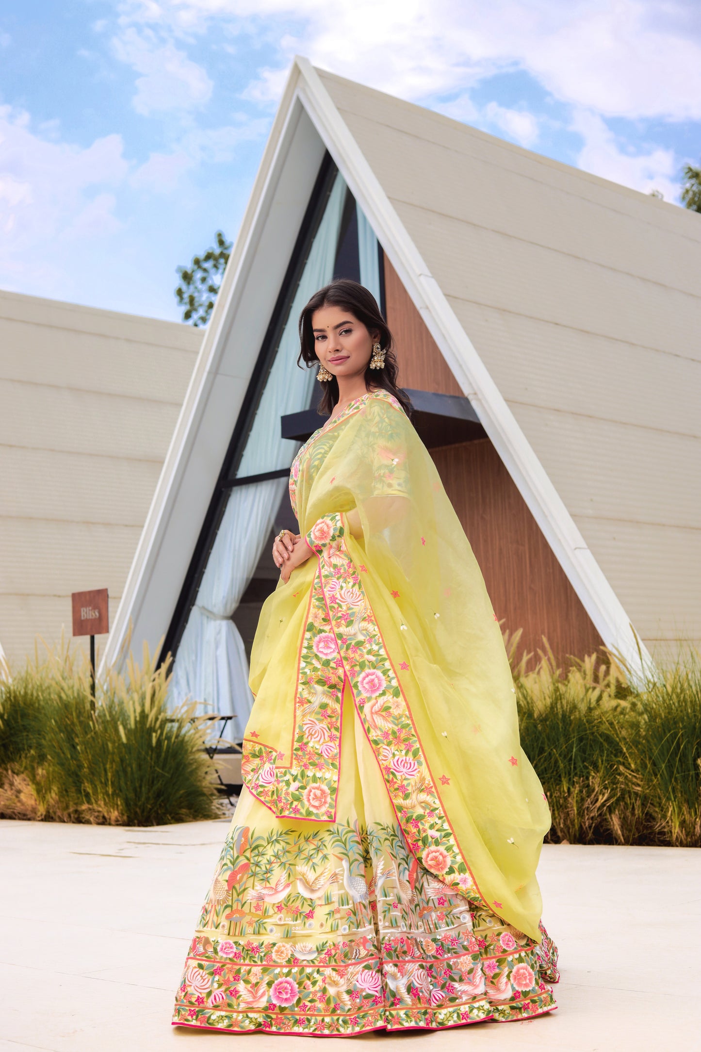 Hand-Painted Silk Organza Lehenga with Hand-Embroidered Blouse